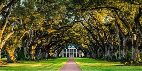 Why A Louisiana Trip Is Different — In All The Right Ways Travelzoo