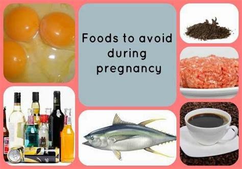 healthy pregnancy foods avoid during pregnancy