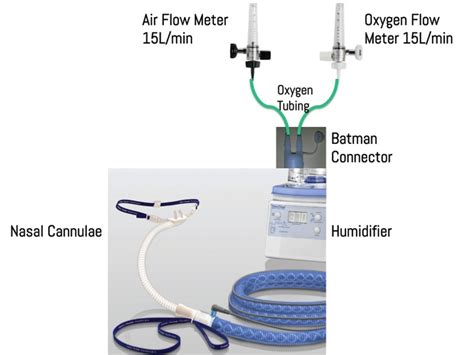 • the rescu can accommodate flows <45l/min and fio2 <50% unless otherwise indicated by the treating physician. Paciente Grave: Alto fluxo de oxigênio através de cânula ...