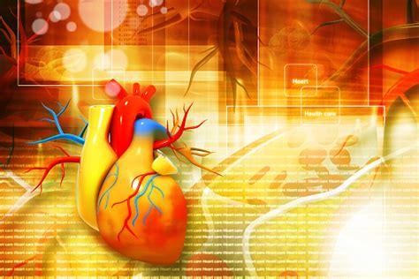 Digital Illustration Of Human Heart Stock Photo Download Image Now