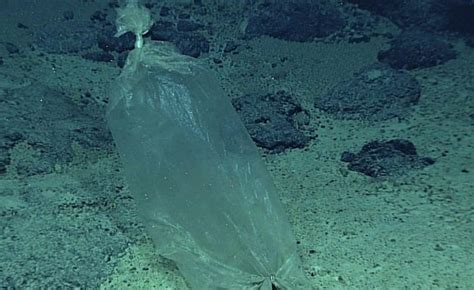 Lowest point is the challenger deep but i think that's in the mariana trench. Plastic at the bottom of Mariana Trench