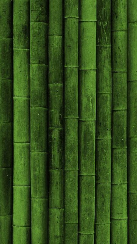Bamboo Tree Green Bg Wallpaper Download Mobcup