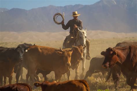 Cattle Drives And Riding Holidays Equus Journeys