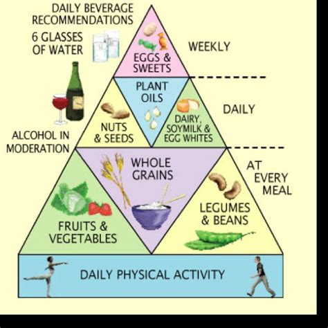Vegetarian Food Pyramid Benefits Of Vegetarian Diet Vegetarian Diet