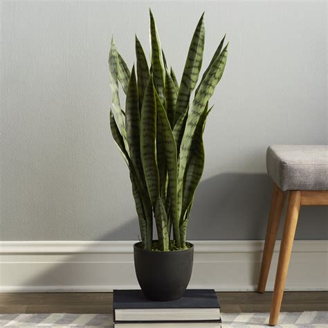 Beachcrest Home Sycamore Faux Sansevieria Floor Plant In Pot And Reviews