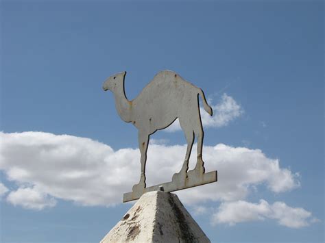 Lost his job when the corps had ended for a bit ran a small camel freight trade and married a woman that he had befriended. Hi Jolly Monument, Quartzsite, AZ | Hi Jolly was a camel ...