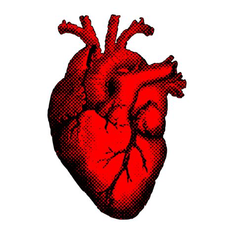 We did not find results for: Heart,Organ,Fictional Character PNG Clipart - Royalty Free ...