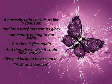 Pin By Samantha Pyatte On Verses Butterfly Quotes Butterfly Infant Loss