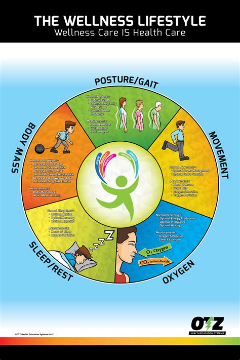 The Wellness Lifestyle Poster – OTZ Health Education Systems
