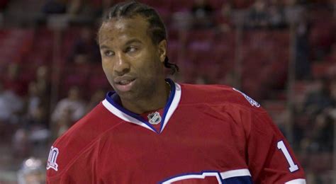 Georges Laraque Helps Detain Man In Potential Kidnapping Sportsnetca