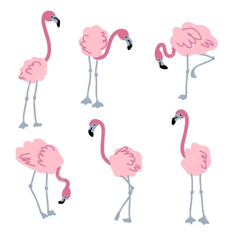 Summer Pink Flamingo Vector Hd Png Images Doodle Pink Flamingo