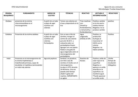 Tabla Resumen Pruebas Bioquímicas Para Microbiología Microbiología