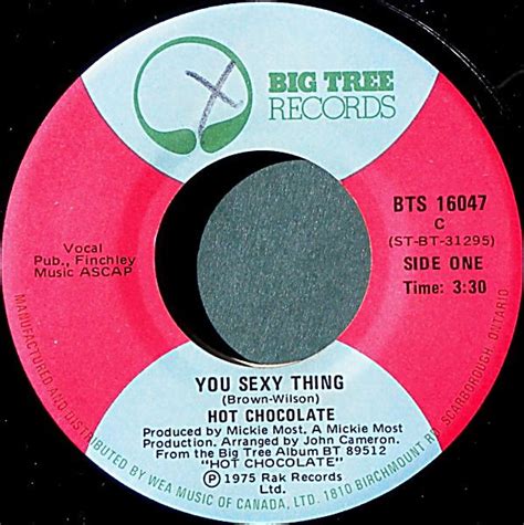 hot chocolate you sexy thing 1975 vinyl discogs