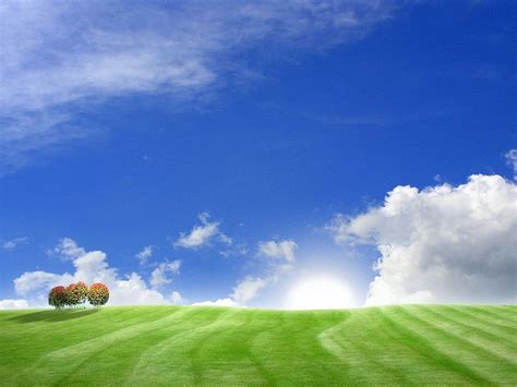 Bliss For You Tree Cloud 3d Art Abstract Sky Field Hd