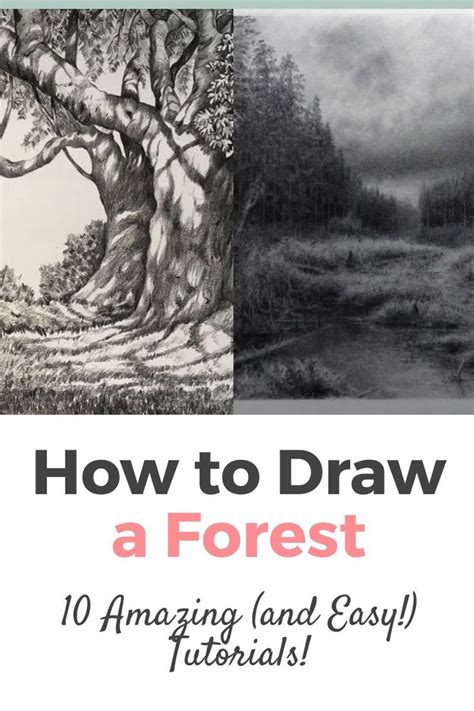 10 Amazing And Easy Step By Step Tutorials And Ideas On How To Draw A