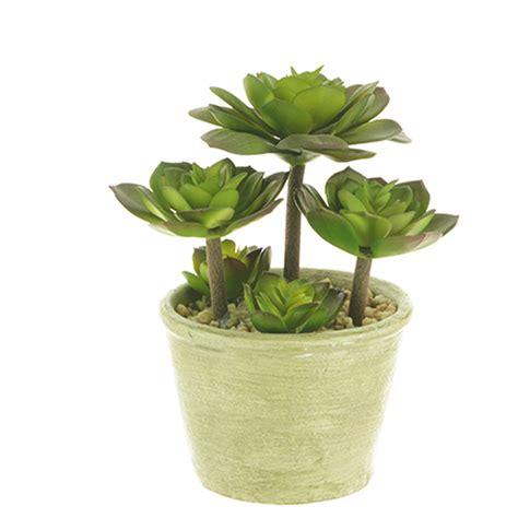Large, potted quiver trees make gorgeous statement plants when placed at entrances, courtyards, and patios. Artificial Succulent | Fake succulent plant in round pot ...