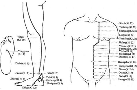 Acupuncturecom Acupuncture Points Kidney Meridian Channel