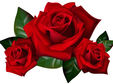 Wallpaper for mobile · supercars · go to 光曦 刘's profile. Red Roses Png Clipart Picture Hd Desktop Wallpaper ...