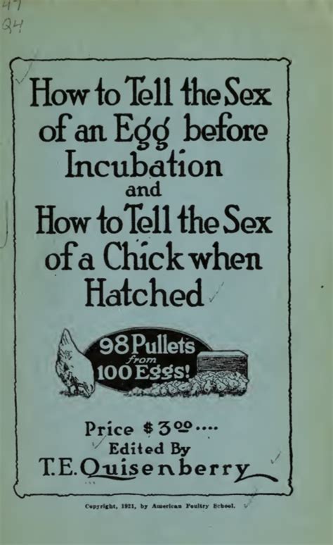 how to tell the sex of eggs and recently hatched chicks nate covington