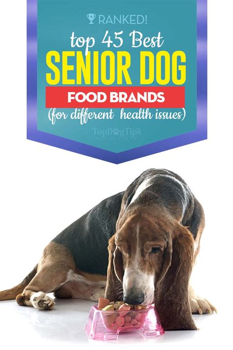 Best low sodium dog food: Top 45 Best Senior Dog Food Brands for Health and Longevity