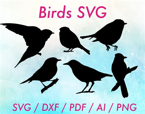 Birds Svg Bird Svg Bird Svg Files Bird Svgs Bird Dxf Etsy