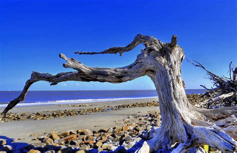Driftwood Beach Jekyll Island Ga 2012 Hdr 3 Shots Taken Flickr