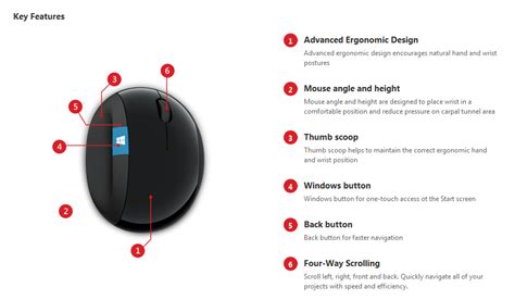 Sculpt Ergonomic Mouse By Microsoft Ergocanada Detailed