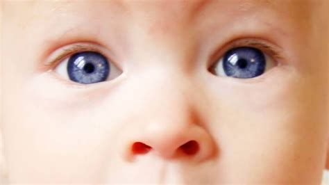 Eye Color Prediction Chart To Know Your Babys Eye Color