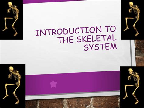 Introduction To The Skeletal System