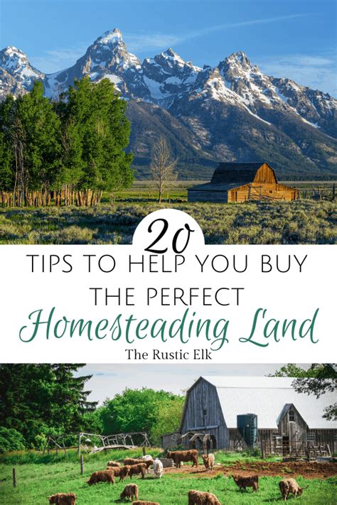 20 Tips To Buy The Perfect Homesteading Land • The Rustic Elk