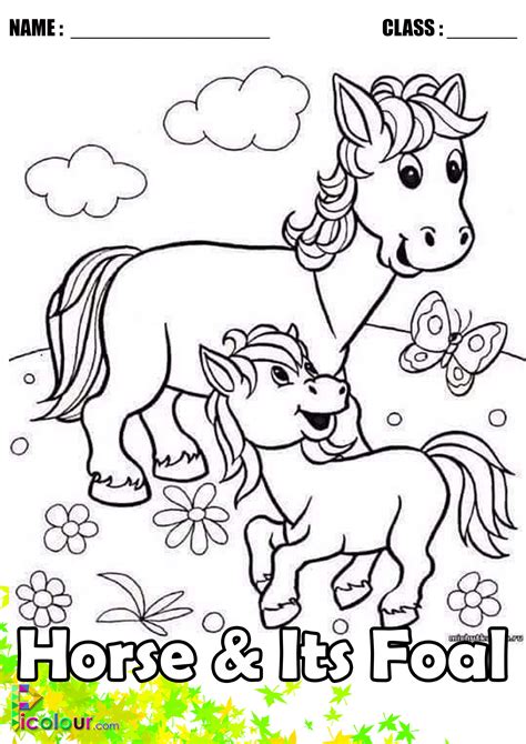 Funny Horse Mother And Its Foal Colouring Pages For Kids Picolour