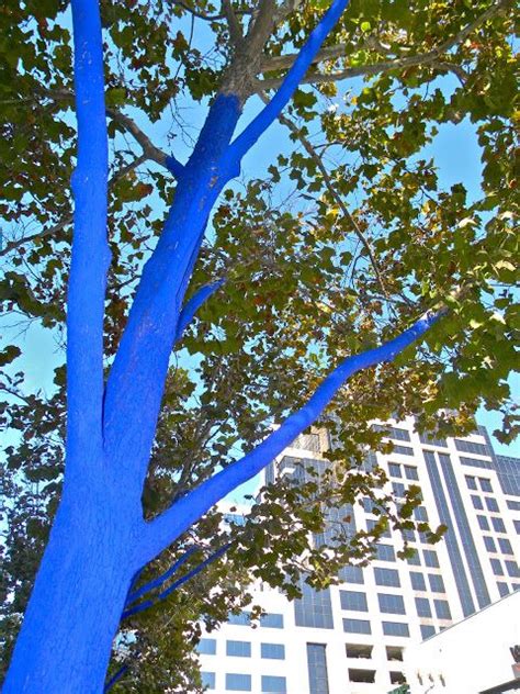Blue Trees Installation By Konstantin Dimopoulos Via Katiedid Tree