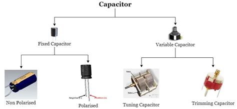 Different Types Of Capacitors And Their Uses Studyelectricalcom