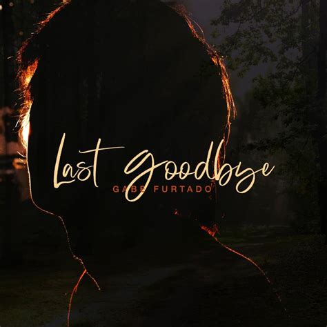 Gabe Furtado Last Goodbye Single Lyrics And Tracklist Genius