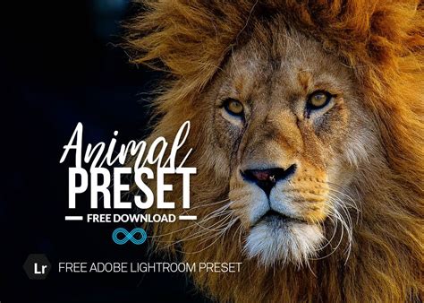 We share these 380 best. Free Animal Lightroom Preset (With images) | Lightroom ...