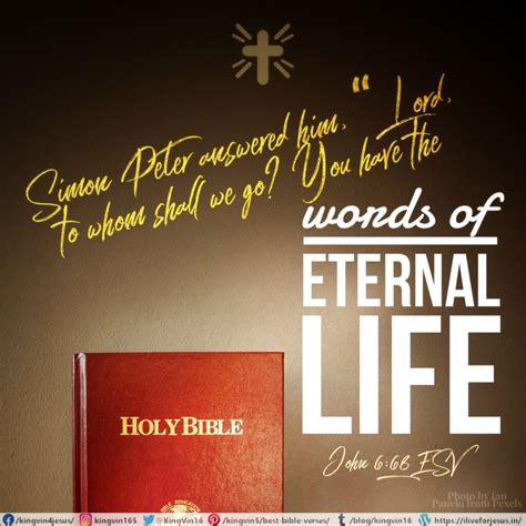 What Does The Bible Says About Eternal Life Soon Travis