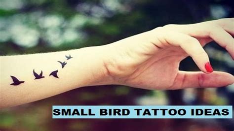 Small Tattoos Birds Top 61 Best Small Bird Tattoo Ideas 2021
