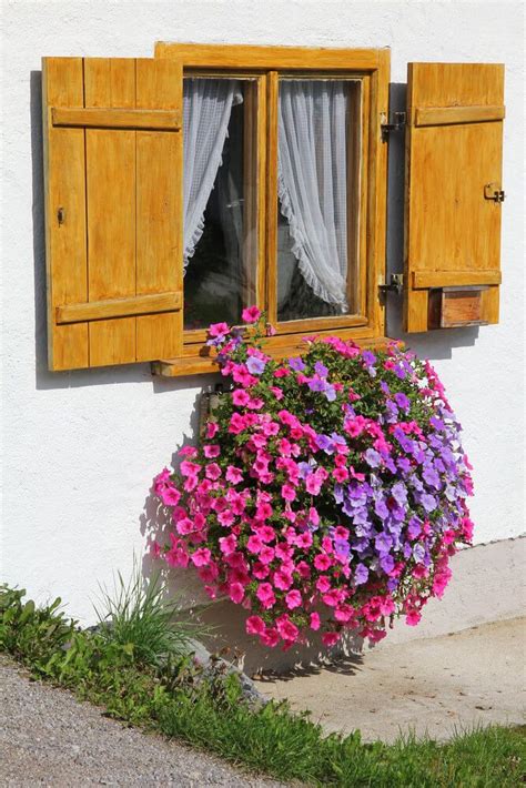 Window Flower Box Where The Flowers Are Full And In Bloom And Pouring
