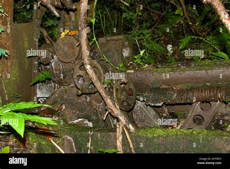 Japanese Wwii Artillery Gears War Relic Ruins Yap Micronesia Stock