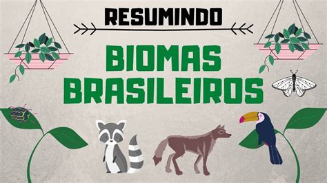 Principais Biomas Brasileiros Resumindo Biomas Bioma Brasileiro