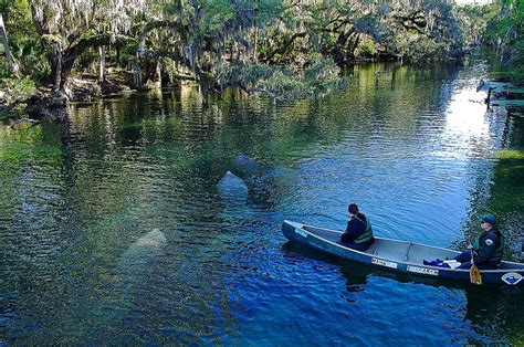Florida summer camps can get your kids swimming with dolphins, walking a tightrope or navigating a space shuttle. These 15 Camping Spots In Florida Are An Absolute Must See