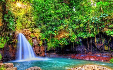 Nature Landscape Waterfall Forest Sun Rays Shrubs Colorful Trees Tropical Guadeloupe