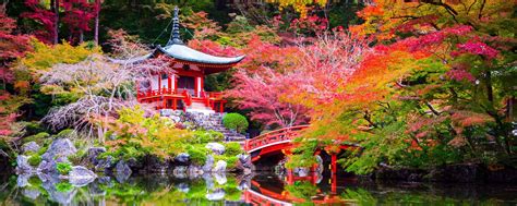 Visit Japan : Reasons to go Easyvoyage