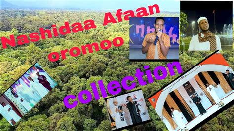 Nashida Afaan Oromoo Haraaa New Oromo Nashida Collection 2023 Youtube