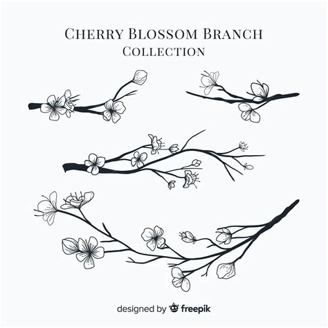 Premium Vector Cherry Blossom Branch Collection