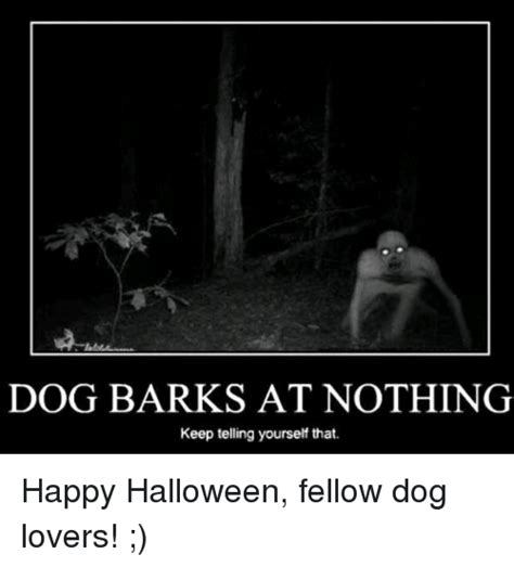 What in the world is that suppose to mean? DOG BARKS AT NOTHING KEEPTELLING YOURSELF THAT | Dank Meme ...