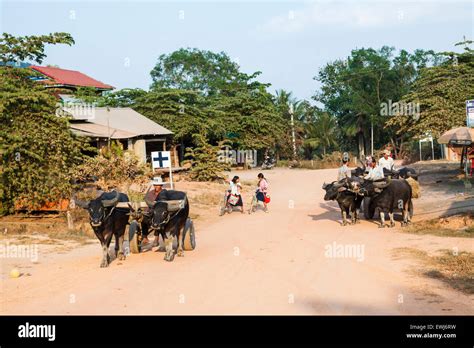 Rural Scene Of Cambodia Village Stock Photo Alamy