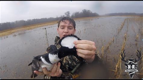 Ballard Kentucky Wma Duck Hunt Youtube