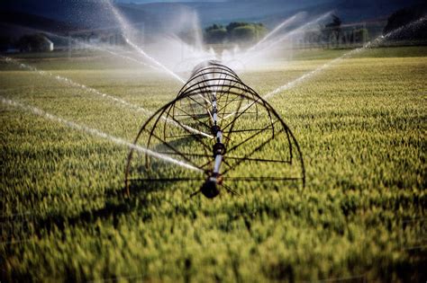 Irrigation System Watering Crops On Farm Field Stock Photo Dissolve