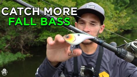 Fishing The Fall Transition For Bass Top Baits To Fish Now Angler Hq